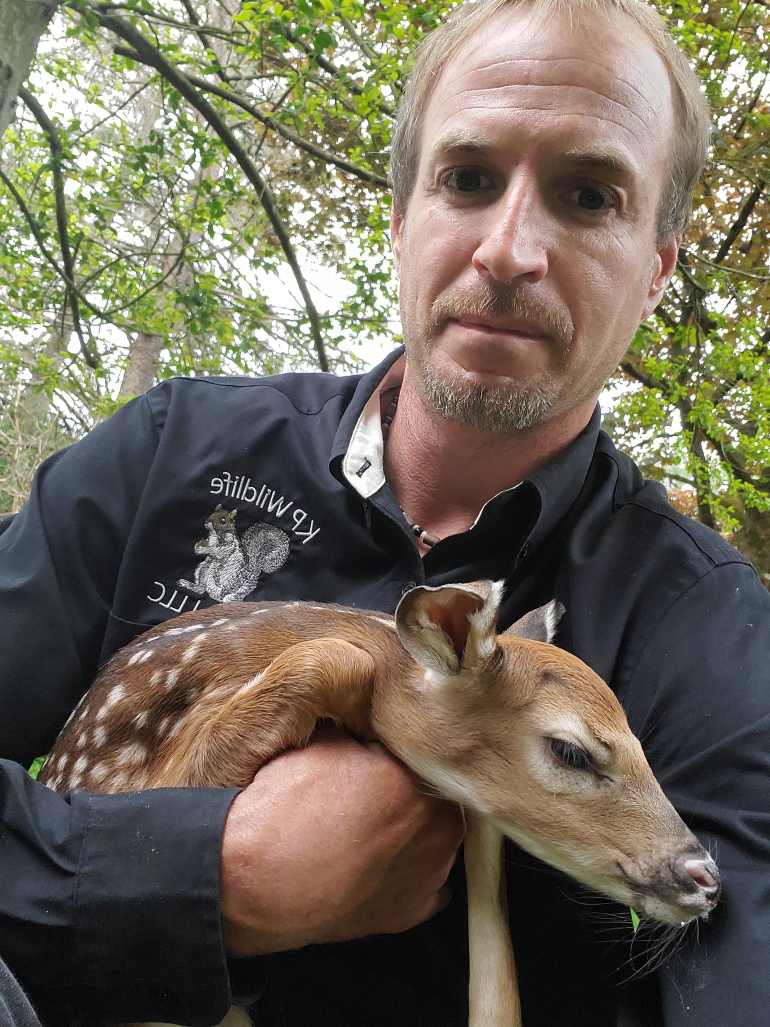 Animal Removal Services in Maryland KP Wildlife Control