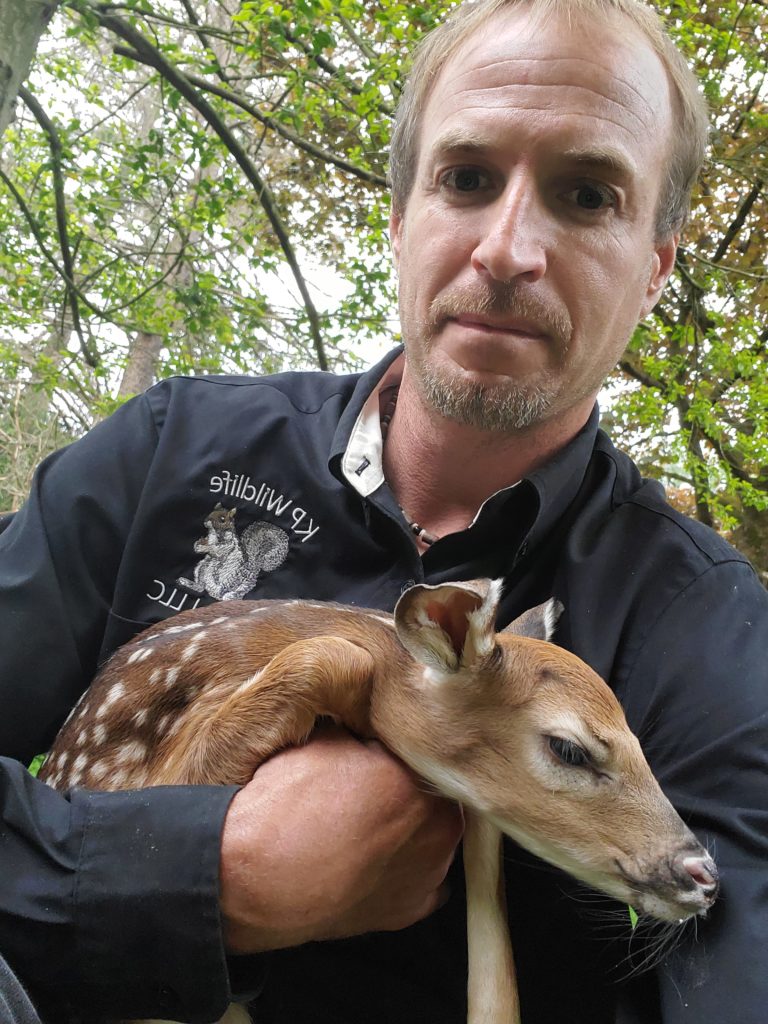 Animal Removal Services in Maryland KP Wildlife Control