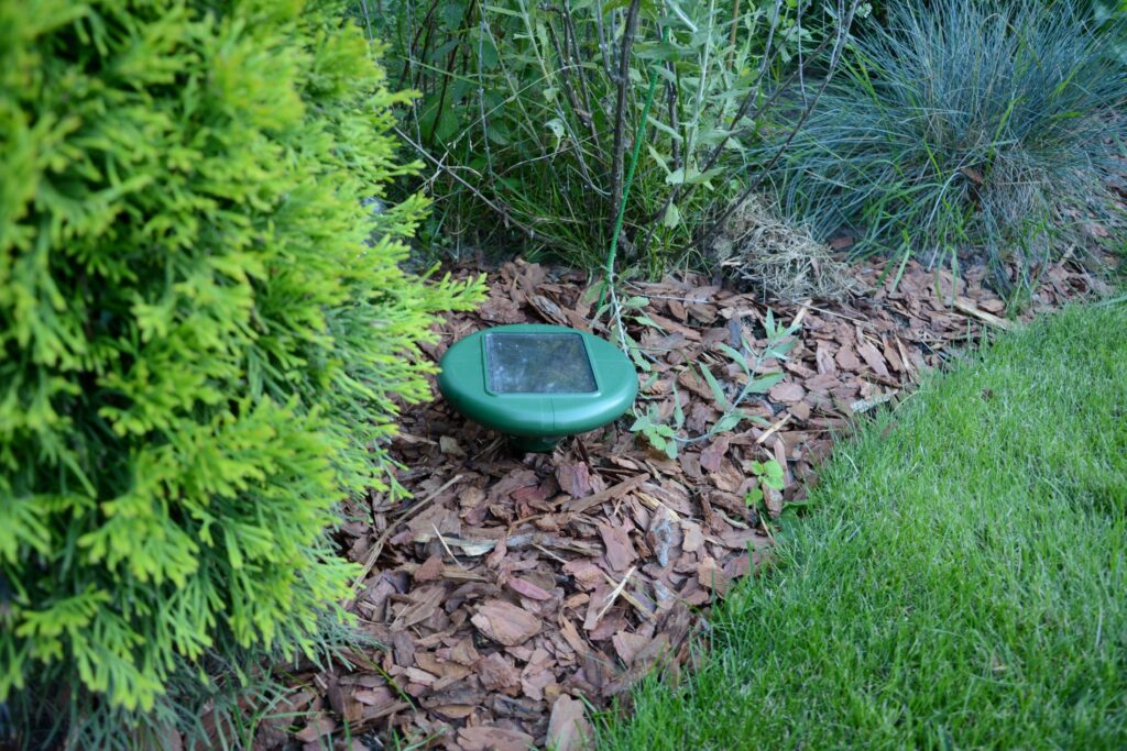 A Few Exclusionary Methods to Keep Animals Out of Your Home
