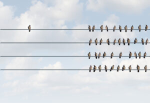 Individuality symbol and independent thinker concept and new leadership concept or individuality as a group of pigeon birds on a wire with one individual in the opposite direction as a business icon.