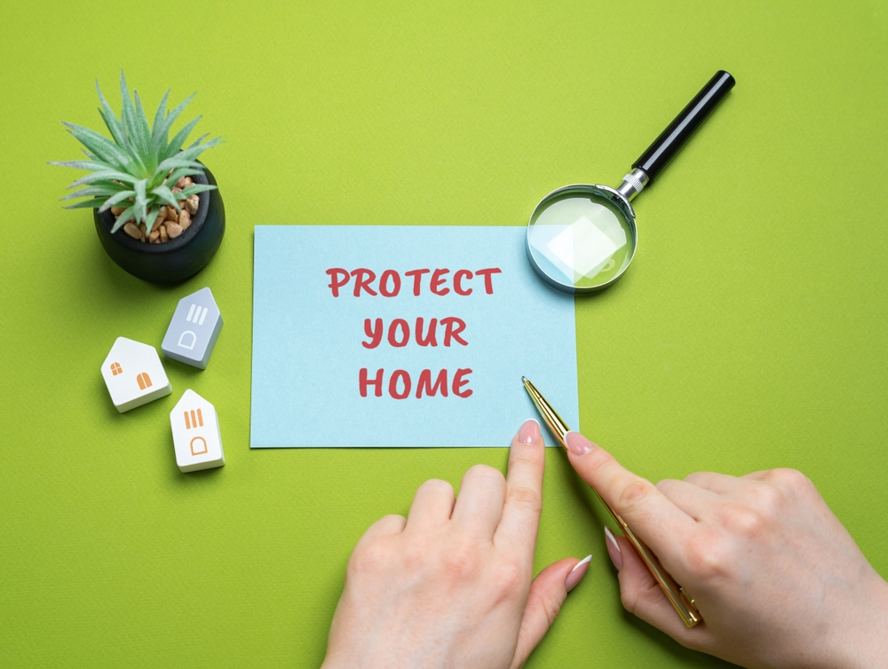 Common Spring and Summer Wildlife Problems Homeowners Face
