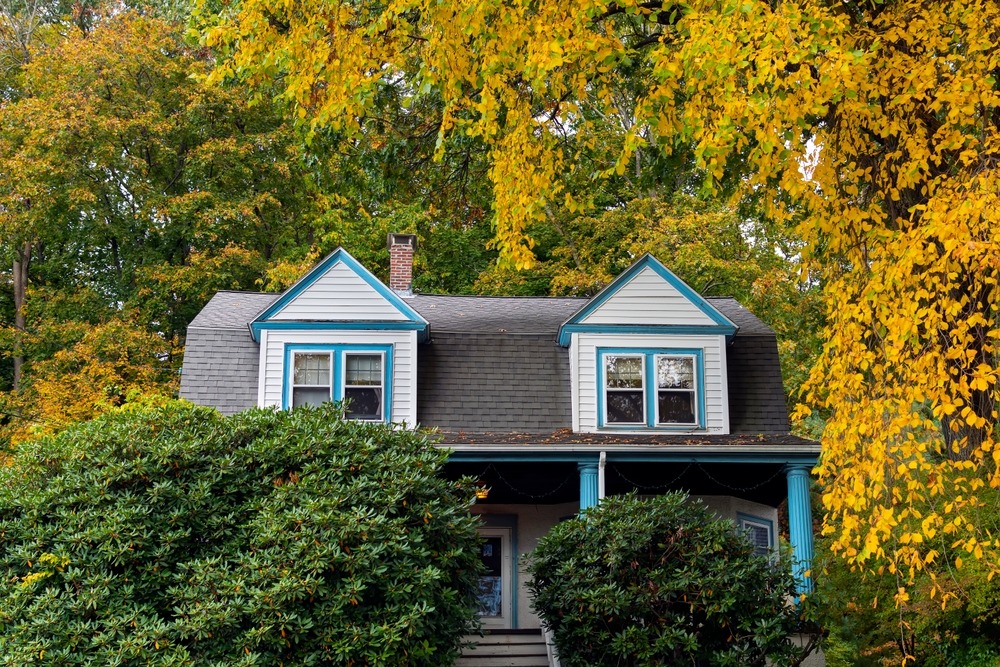 What's Scratching in Your Attic? How to Identify Fall Wildlife by the Sounds You Hear